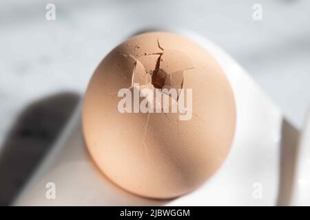 Boiled breakfast egg in an egg cup. Stock Photo