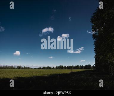 Wide panoramic beautiful summer landscape with forest and green grass. Stock Photo