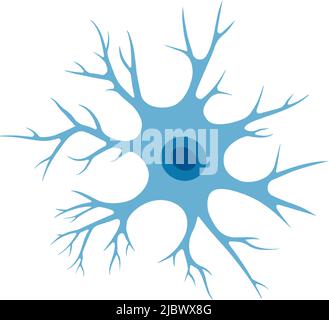 Human neuron cell illustration. Brain neuron structure. Cell body, nucleus, axon and dendrites scheme. Neurology illustration Stock Vector