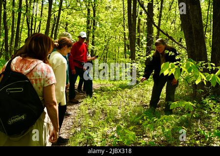 Group of hikers on Ice Age National Scenic Trail, led by a guide with the Wisconsin Department of Natural Resources, Elkhart Lake, Wisconsin, USA Stock Photo