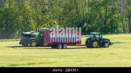 John Deere 9600i Self-Propelled Forage Harvester combine loading harvested hay silage in trailer towed by John Deere tractor. Stock Photo