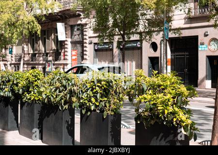 Barcelona, Spain - April 16, 2022 : Potted plants along the street and sidewalk. Blurred view of the background stores Stock Photo