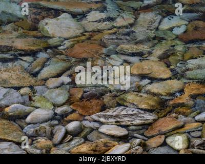 Beach rocks abstract on Pebble Island, Falkland Islands Stock Photo