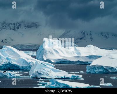 Sculpted icebergs in Gerlache Strait, Antarctica Stock Photo
