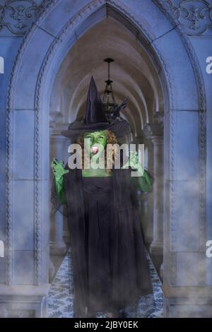 Young girl dressed as witch making scary face to camera standing in front of smokey stone hallway Stock Photo