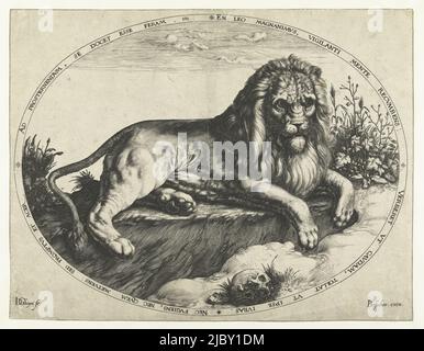 Oval representation of a lion lying near a skull. Around the representation a Latin edge lettering, The lion, print maker: Jacob de Gheyn (II), (mentioned on object), Heyman Jacobi, (mentioned on object), publisher: Joos de Bosscher, (mentioned on object), print maker: Netherlands, publisher: Amsterdam, 1588 - 1592, paper, engraving, h 267 mm × w 345 mm Stock Photo