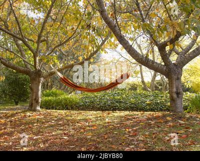 Hammock tied to trees in garden Stock Photo