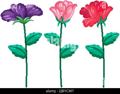 Three different colors flowers illustration Stock Vector