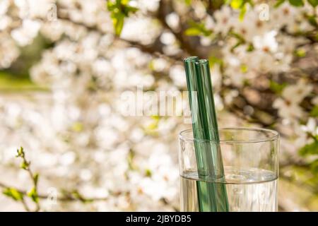 Floral Reusable Glass Drinking Straw - The Eco Com