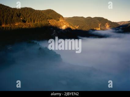 Looking down at mist rising from tree tops of pine tree covered hills in early morning Stock Photo