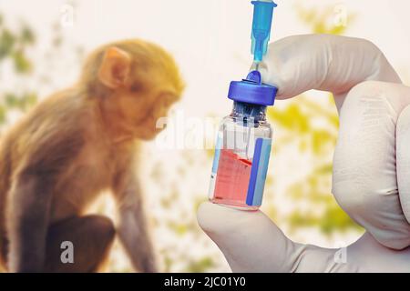 A vial of vaccine for Monkeypox virus. a test tube with a vaccine and a syringe on the background of a monkey. Veterinary medicine. Stock Photo