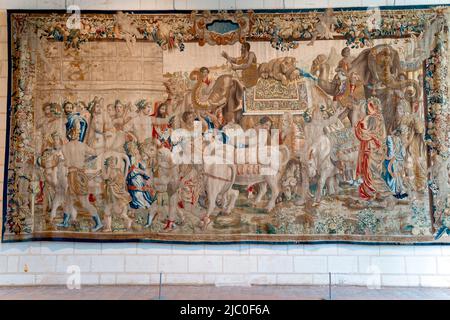 The oxen and the elephants (ca 1660), Brussels workshop, Chateau de Chambord, Loire Valley, France. Stock Photo