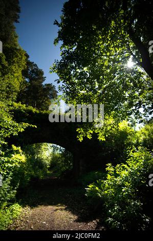 Arched bridge over track at The Garden Station, Restored Victorian railway station, Langley-on-Tyne, Northumberland Stock Photo