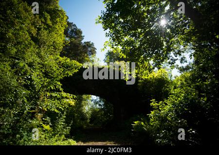 Arched bridge over track at The Garden Station, Restored Victorian railway station, Langley-on-Tyne, Northumberland Stock Photo