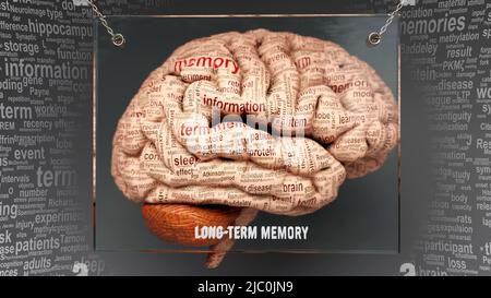 Long term memory in human brain - dozens of terms describing its properties painted over the brain cortex to symbolize its connection to the mind.,3d Stock Photo