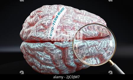 Long term memory in human brain, a concept showing hundreds of crucial words related to Long term memory projected onto a cortex to fully demonstrate Stock Photo