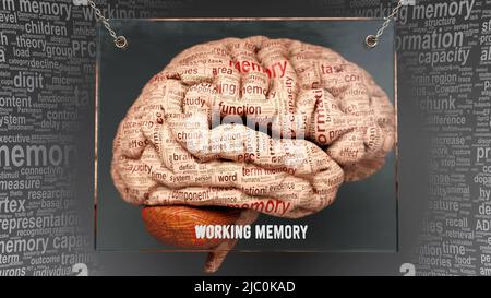 brain memory storage