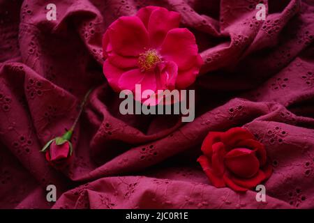 Pink roses flowers on red seam fabric with a floral pattern. Stock Photo