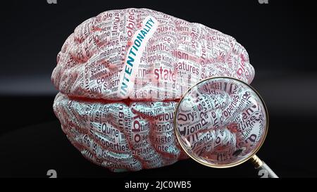 Intentionality in human brain, a concept showing hundreds of crucial words related to Intentionality projected onto a cortex to fully demonstrate broa Stock Photo