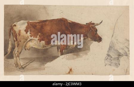 Standing cow, to the right, and sketch of a cow, Willem Carel Nakken ...