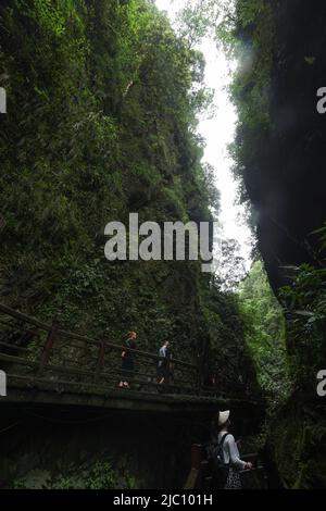 (220609) -- CHENGDU, June 9, 2022 (Xinhua) -- Photo taken on June 5, 2022 shows the scenery of Mount Emei in southwest China's Sichuan Province. Mount Emei, located in southwest China's Sichuan Province, is an area of striking scenic beauty, notable for its lofty mountain and lush vegetation. It is also of great spiritual and cultural significance, in which there are archaeological sites, important architecture, tombs, ritual spaces, and collections of cultural artefacts, including sculpture, stone inscriptions, calligraphy, and paintings, among other traditional arts. Mount Emei is known as Stock Photo