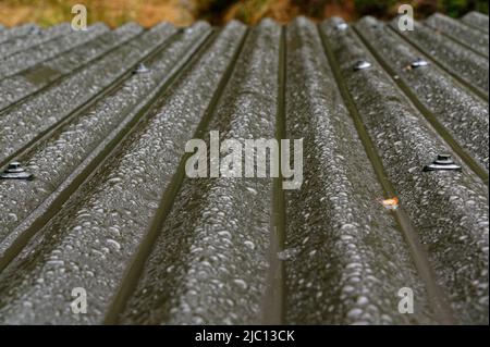 A corrugated roof falls away from the camera, the angle takes the rain with it Stock Photo