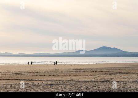 A family on the beach at Harlech at low tide. View to the hills of the Lleyn Peninsula in North Wales. Stock Photo