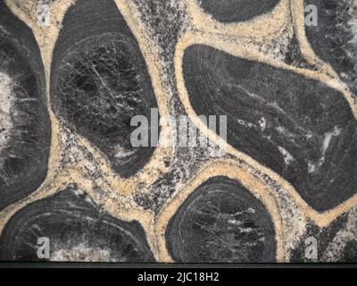 Orbicular diorite granite stone detail close up Stock Photo