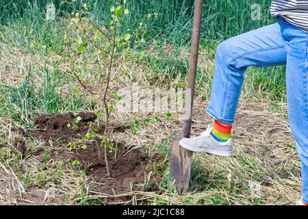 a girl stands with a shovel near a young tree planted near a beautiful field with wheat in the background Stock Photo