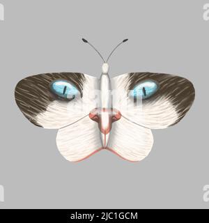 Butterfly cat's eye isolated on gray background. Stock vector illustration Stock Vector