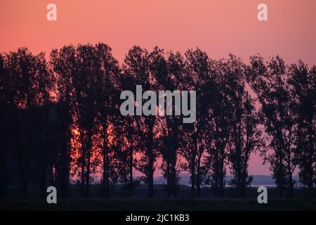 Fiery sunset with shadows over backlit trees. Darkened silhouettes of forested area with vibrant sunset or sunrise. Colorful and emotional environmental portrait. High quality photo Stock Photo