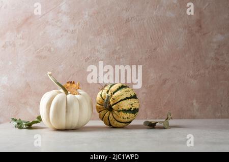 Two pumpkins on light table copy space autumn concept Stock Photo