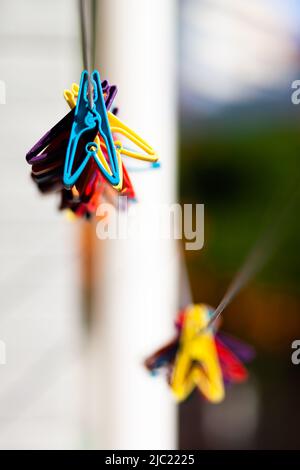 Colorful pegs on a washing line. Stock Photo