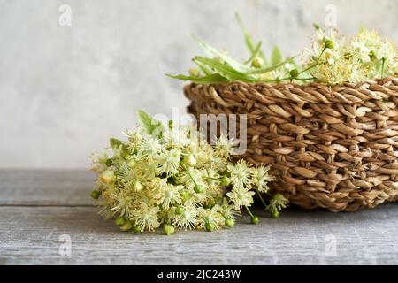 Fresh linden or Tilia cordata flowers on a table and in a basket in spring Stock Photo
