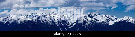 Snowy mountain peaks in Olympic National Park seen from Hurricane Ridge. Stock Photo
