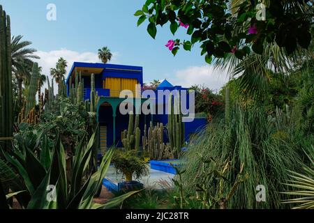 Marrakech, Morocco: Yves Saint Laurent house-turned-museum in vibrant ultramarine blue from Jacques Majorelle's exotic botanical garden with fountain. Stock Photo