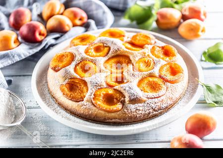 Delicious apricot cake sprinkled sugar powder on garden table. Stock Photo