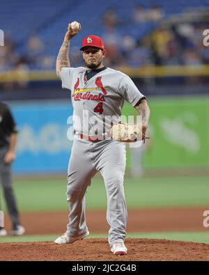 Chicago White Sox catcher Geovany Soto (58) taps pitcher Carlos Rodon on  the chest after Rodon gives up a two-run single to the St. Louis Cardinals'  Yadier Molina in the third inning