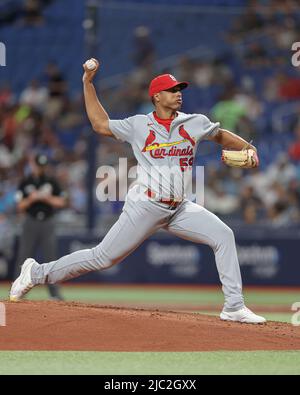 St. Petersburg, FL. USA; St. Louis Cardinals third baseman Brendan