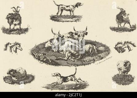 In the center two cows lying down and a sheep in a meadow. Surrounding this scene are eight representations of other animals. Top left a goat seen from behind, top center a dog, top right a goat, on either side of the central scene both left and right two horse heads, bottom right and left a sheep. Below in the center a dog. Rent marked at top right: P.2., Two cows and a sheep and other animals, print maker: Christiaan Godfried Schutze van Houten, (mentioned on object), Rotterdam, 1821 - 1869, paper, etching, h 130 mm × w 200 mm Stock Photo