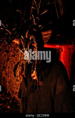 Sinister masked figure with deer skull mask in the woods Stock Photo