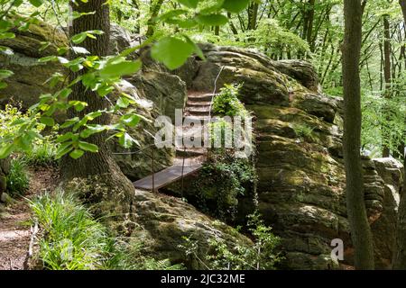 walking track with rocks in germany near tecklenburg Stock Photo