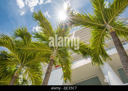 View looking up at modern condominium building through lush palm trees with bright blue sky. Stock Photo