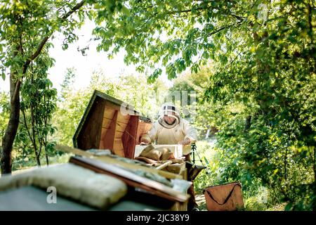 Beekeeper on apiary. Beekeeper is working with bees and beehives on the apiary Stock Photo