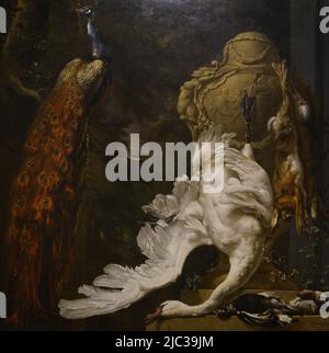 Jan Weenix (1640-1719). Dutch painter. Peacock and Hunting Trophies, 1708. Oil on canvas. Calouste Gulbenkian Museum. Lisbon, Portugal. Stock Photo