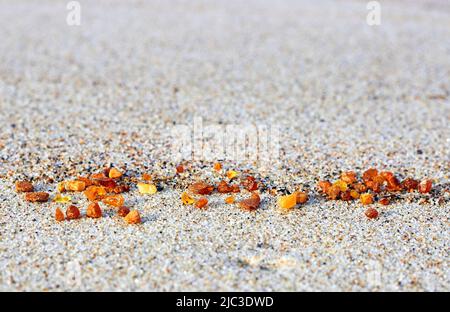 Amber in the sand. Amber on the seashore. Sun stone Stock Photo