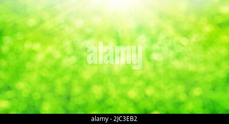 Sunshine over bright green leaves bokeh, soft focus natural background Stock Photo