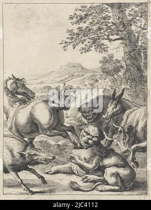 An old lion lies powerless and dying on the ground. A horse, boar, bear, bull and donkey injure him now that they are stronger. Illustration of a fable by Aesopus., Fable of the old lion Fables of Aesopus (series title), print maker: Dirk Stoop, publisher: John Ogilby, London, 1665, paper, etching, h 259 mm × w 174 mm Stock Photo