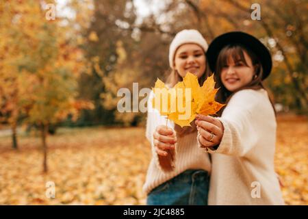 Autumn portrait of two attractive female students unfocused against background of flying autumn park and pulling forward their hands with yellow maple Stock Photo