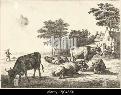 Cows and sheep lying in meadow in front of farmhouse, print maker: Johannes van Cuylenburgh, (mentioned on object), Johannes van Cuylenburgh, Netherlands, 1820, paper, etching, h 179 mm × w 243 mm Stock Photo